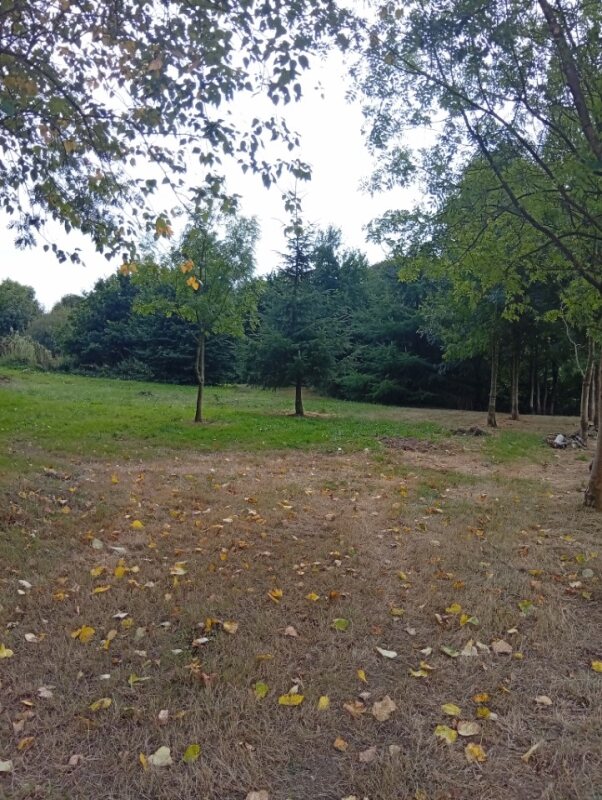 Aire camping-car  Saint-Connan (22480) - Photo 7